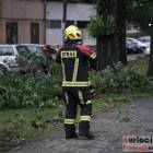 zdjęcie nr 13