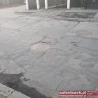 zdjęcie nr 7