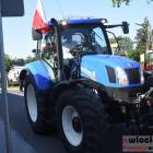 zdjęcie nr 40