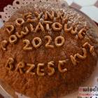 zdjęcie nr 96