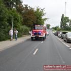 zdjęcie nr 134