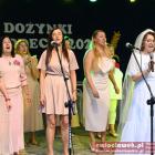 zdjęcie nr 242