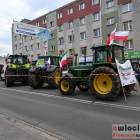 zdjęcie nr 12