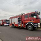 Fotka nr 2 z 4