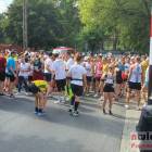 zdjęcie nr 26