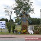 zdjęcie nr 174