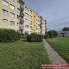 zdjęcie nr 8