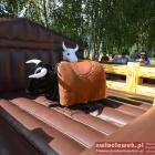 zdjęcie nr 47