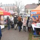 zdjęcie nr 83
