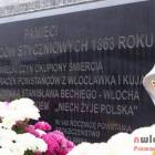 zdjęcie nr 13