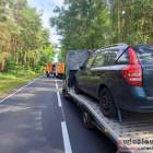 Fotka nr 2 z 7