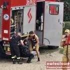 zdjęcie nr 13