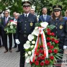 zdjęcie nr 14