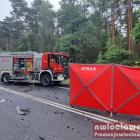 Fotka nr 5 z 16