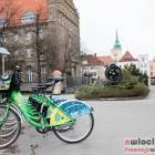 zdjęcie nr 42