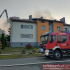 Fotka nr 5 z 6
