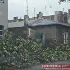zdjęcie nr 26