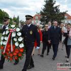 zdjęcie nr 13