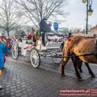 zdjęcie nr 72