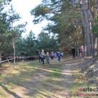 zdjęcie nr 43