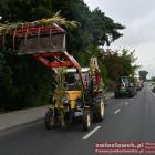 zdjęcie nr 77
