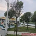 zdjęcie nr 10