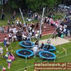 zdjęcie nr 42