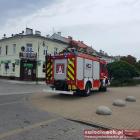 zdjęcie nr 11