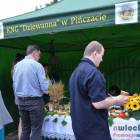 zdjęcie nr 33