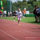 zdjęcie nr 183