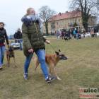 Fotka nr 2 z 178