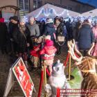 zdjęcie nr 24