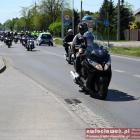 zdjęcie nr 81