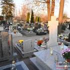 zdjęcie nr 15