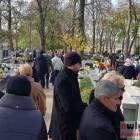 zdjęcie nr 31