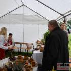 zdjęcie nr 104
