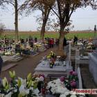 zdjęcie nr 13