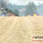 Fotka nr 1 z 12