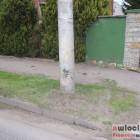 Fotka nr 3 z 10