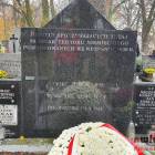 zdjęcie nr 22