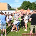 zdjęcie nr 46