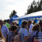 zdjęcie nr 71
