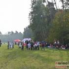 zdjęcie nr 45
