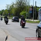 zdjęcie nr 251