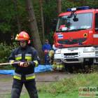 zdjęcie nr 71