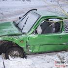 Fotka nr 2 z 3