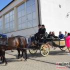 zdjęcie nr 97