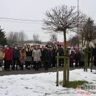 zdjęcie nr 31