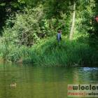 zdjęcie nr 19