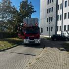 zdjęcie nr 33